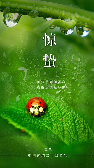 春天惊蛰节气手机海报