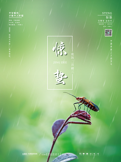 简约小清新中国二十四节气惊蛰海报