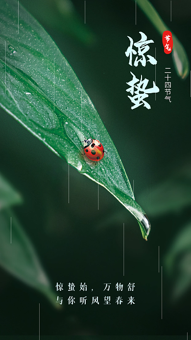 创意小清新二十四节气惊蛰节气海报