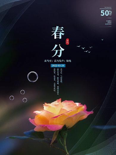 简约风春分节气摄影图宣传海报