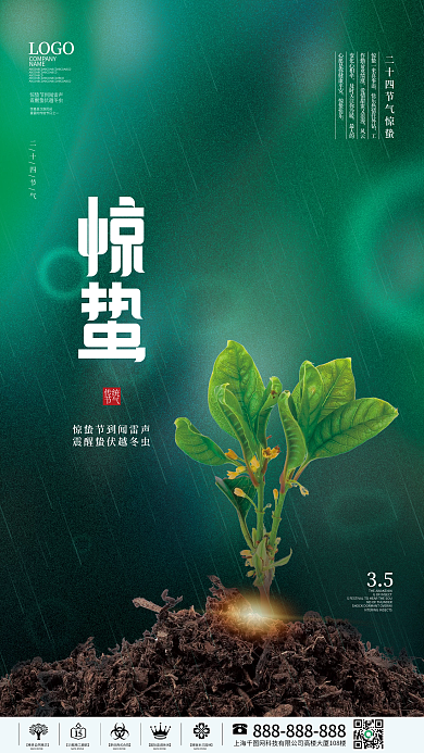 简约风二十四节气摄影图惊蛰节日宣传海报