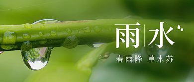 雨水节气滴露下雨时节统节气公众号封面图