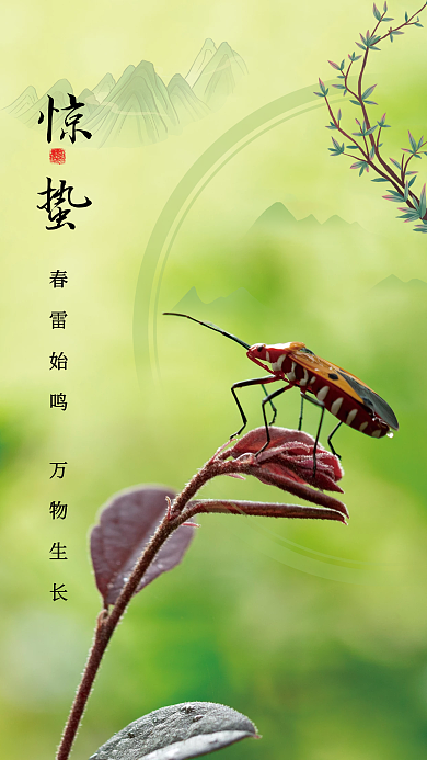 简约二十四节气绿色惊蛰海报
