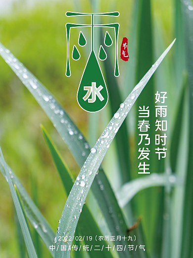 商务简约大气24节气之雨水节气海报