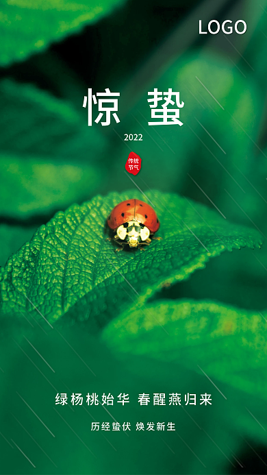 简约春天惊蛰二十四节气绿色瓢虫摄影图海报