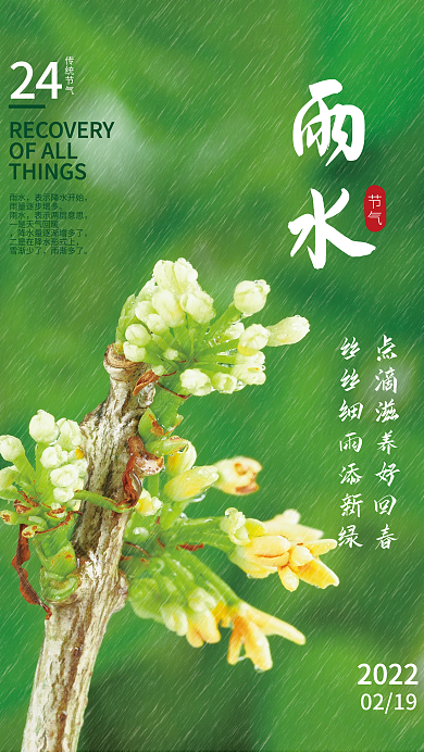 简约房地产教培绿色春天春季雨水节气海报