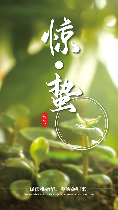 清新简约绿色植物二十四节气惊蛰
