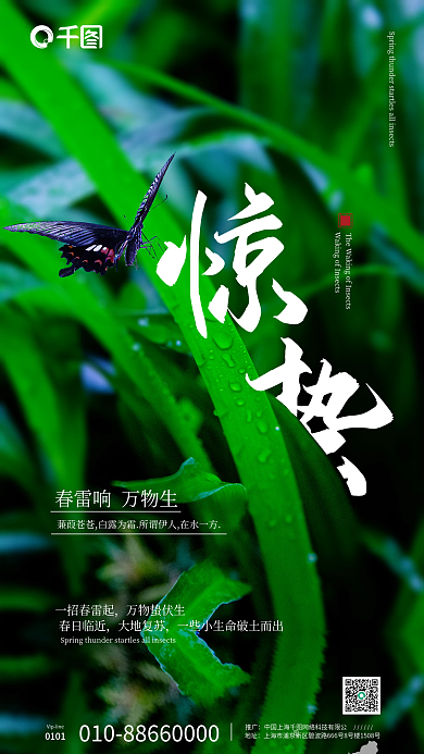 绿色高清蝴蝶立体雨水夏至惊蛰节气手机海报