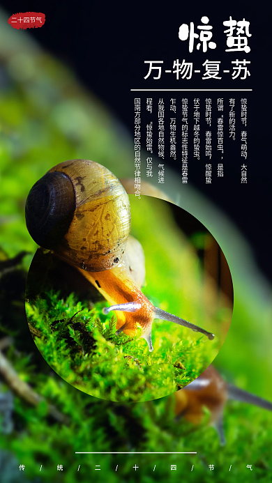 简约大气惊蛰手机海报