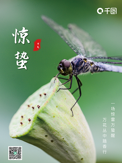 创意惊蛰节气摄影图海报