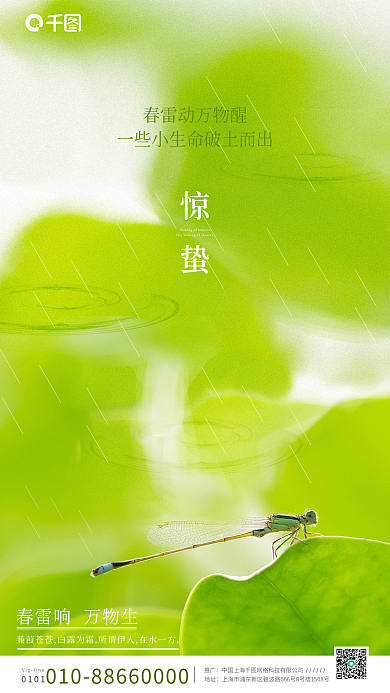 绿色简约清新高清蜻蜓雨滴雨水惊蛰夏至海报