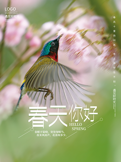 简约春天你好春暖花开小鸟绿色摄影图海报