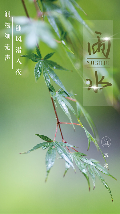 简约大气二十四节气雨水海报