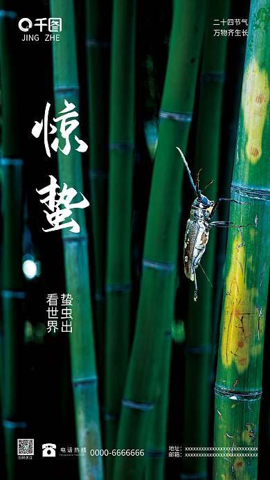 绿色竹林惊蛰摄影宣传海报
