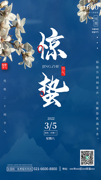 二十四节气惊蛰节气摄影简约风海报