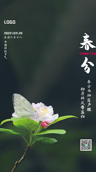 中国传统二十四节气春分海报