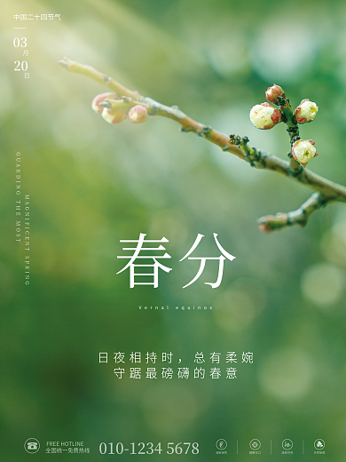 简约春分节气摄影图海报