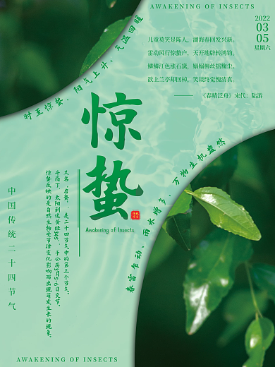 二十四节气惊蛰简约海报