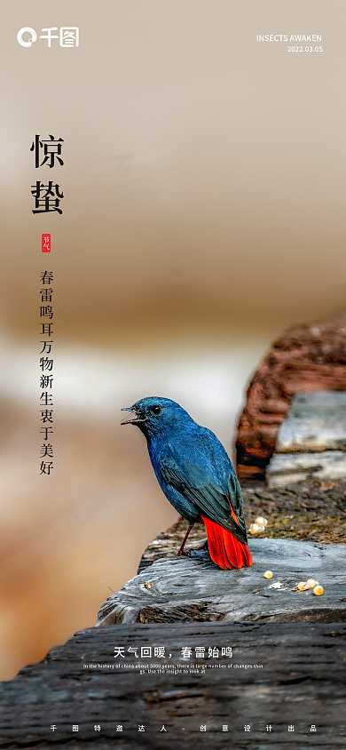 房地产暖色动物小鸟惊蛰新媒体手机长图海报