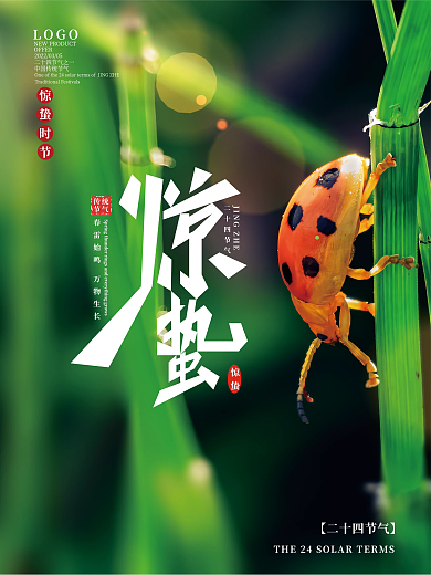 中国传统二十四节气惊蛰宣传海报