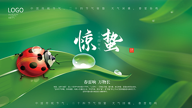 简约二十四节气惊蛰宣传展板