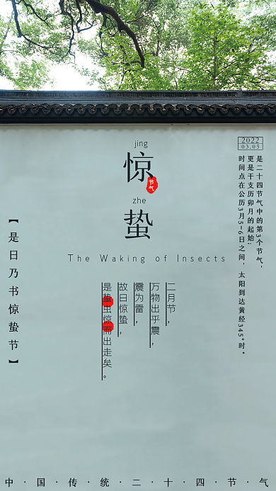 文艺简约清新质感惊蛰节气节气海报