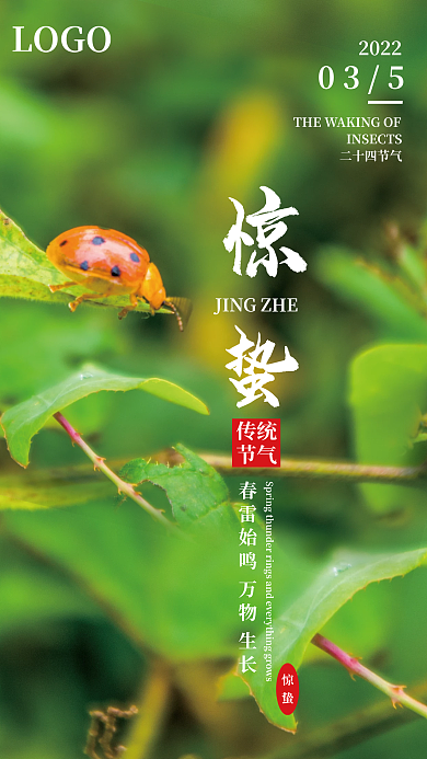 中国传统二十四节气惊蛰宣传海报