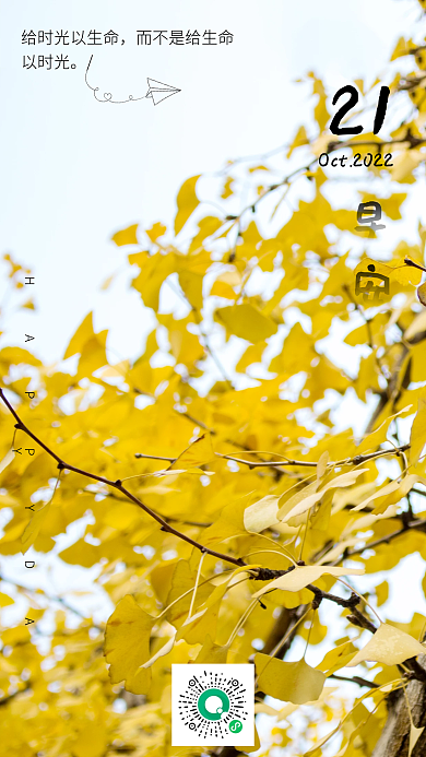 黄色枫叶树叶早安日签10月风景