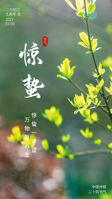 惊蛰海报春分二十四节气植物发芽嫩芽绿植