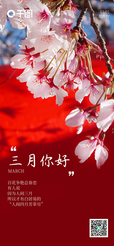 桃花樱花红墙三月你好日签海报