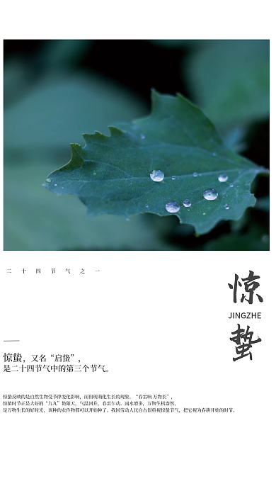 惊蛰简约节气海报