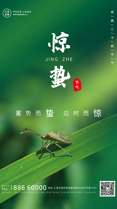 绿色24节气惊蛰宣传海报