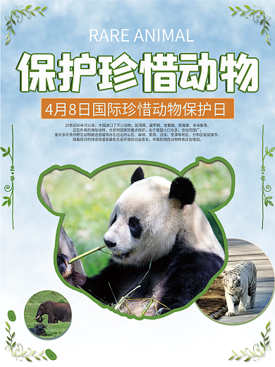 国际珍惜动物保护日