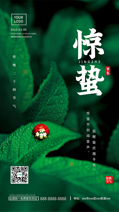 惊蛰节气瓢虫摄影图创意简约绿色背景海报
