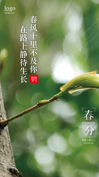 绿色二十四节气简约春分节气宣传节日海报