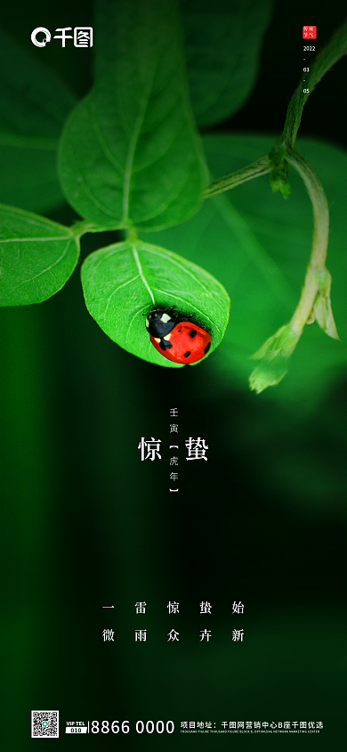 房地产绿色大气惊蛰节气新媒体长图宣传海报