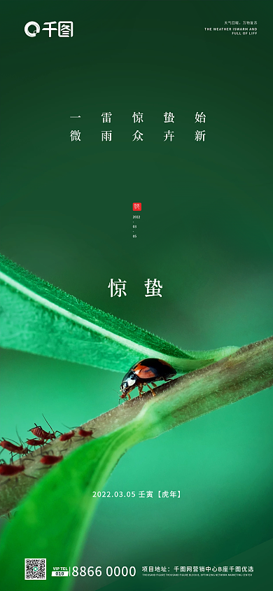 房地产绿色高级惊蛰节气新媒体长图宣传海报
