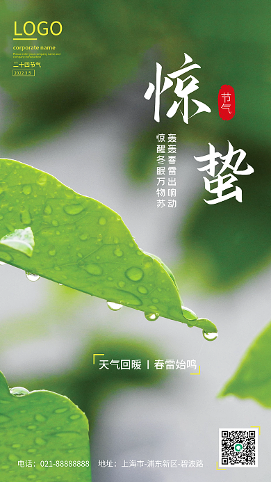 清新简约二十四节气惊蛰海报