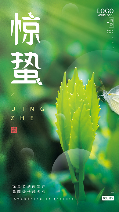 简约创意二十四节气惊蛰节气摄影图海报