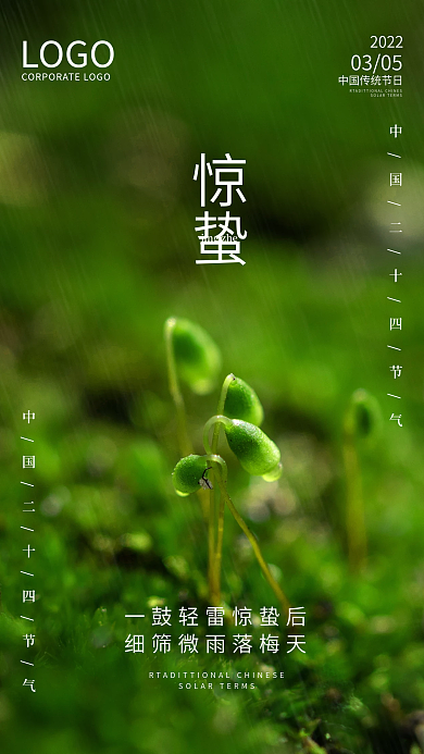 简约大气惊蛰手机宣传海报