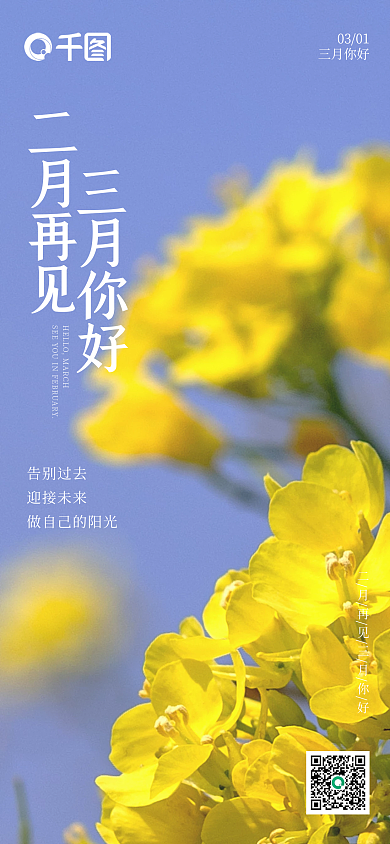 油菜花春天三月你好日签海报