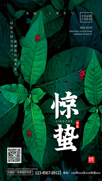 简约大气惊蛰节气瓢虫摄影图创意节气海报