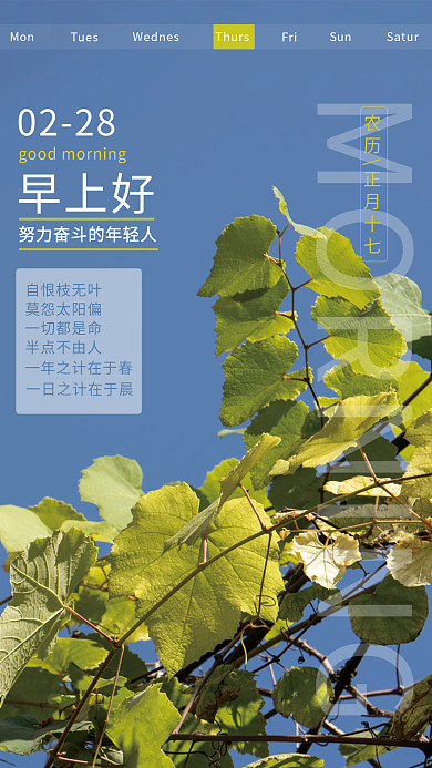 温柔简约朋友圈早安海报