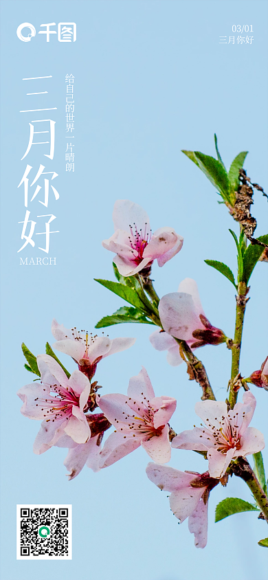 三月你好日签月签桃花手机海报