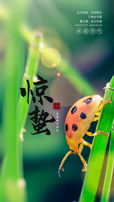 小清新惊蛰二十四节气宣传海报