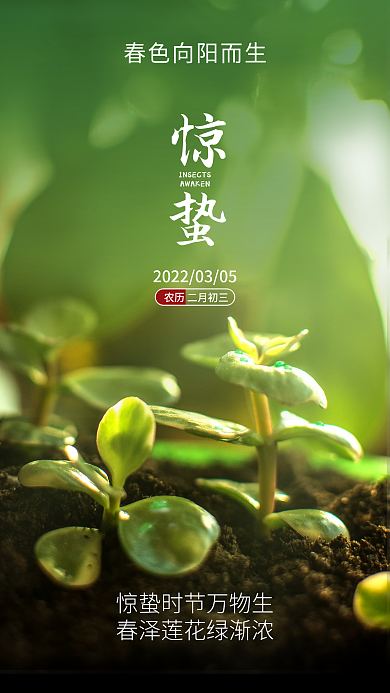 房地产惊蛰节气绿色植物手机海报壁纸启动页