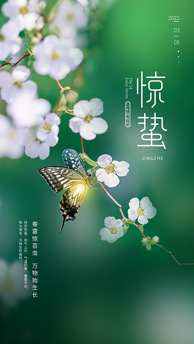 简约创意二十四节气惊蛰摄影图海报