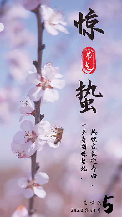 传统二十四节气之一惊蛰海报