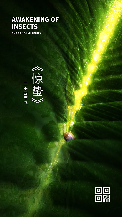 二十四节气春天雨水惊蛰手机海报