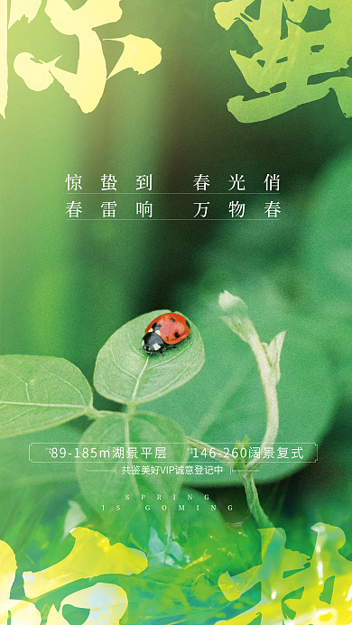 20220217惊蛰节气单图海报